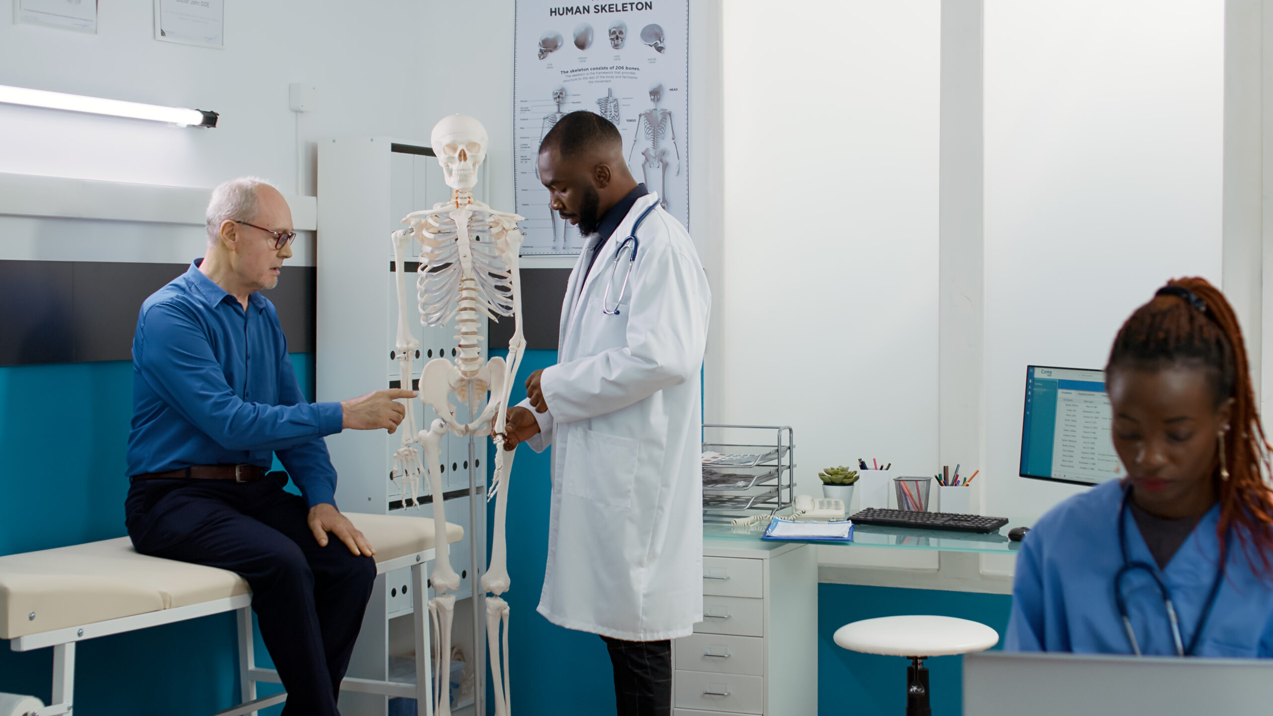 Calcium and Bone Medicine health specialist analyzing human skeleton bones in cabinet